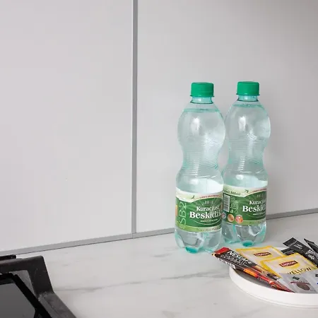 Elektrownia Powisle Standard By Bookinghost Lejlighed